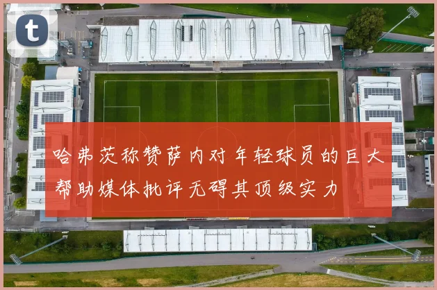 哈弗茨称赞萨内对年轻球员的巨大帮助媒体批评无碍其顶级实力