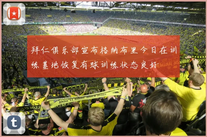 拜仁俱乐部宣布格纳布里今日在训练基地恢复有球训练状态良好